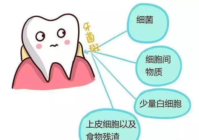 侵害牙周组织，引起炎症